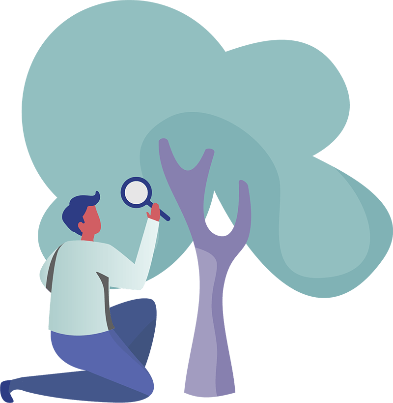 Growth