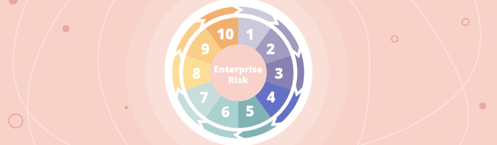 Octave Forte: Enterprise risk