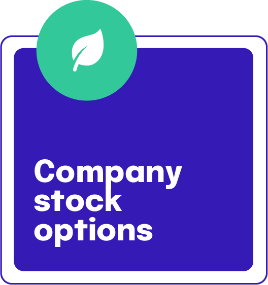 Company stock options