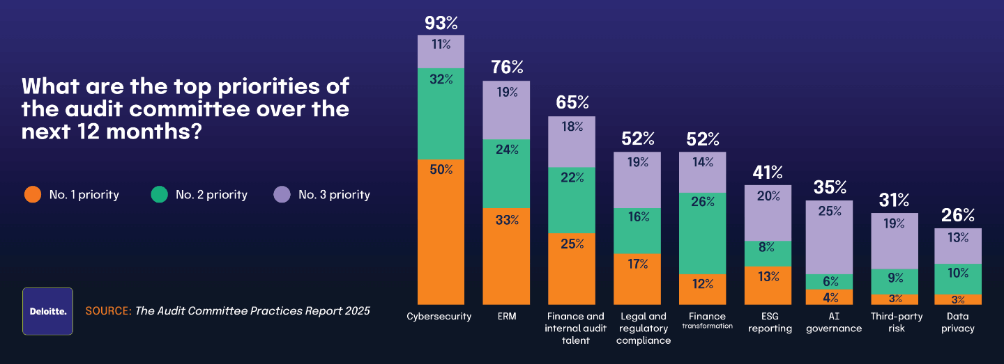 What are the top priorities of the audit committee over the next 12 months?